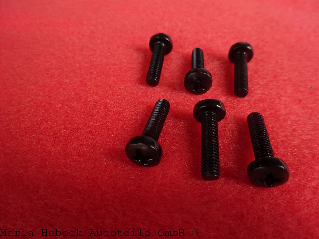 HT SET screws for turn signal lenses black 6 pcs   69-89 Mx4x16     91163100100
