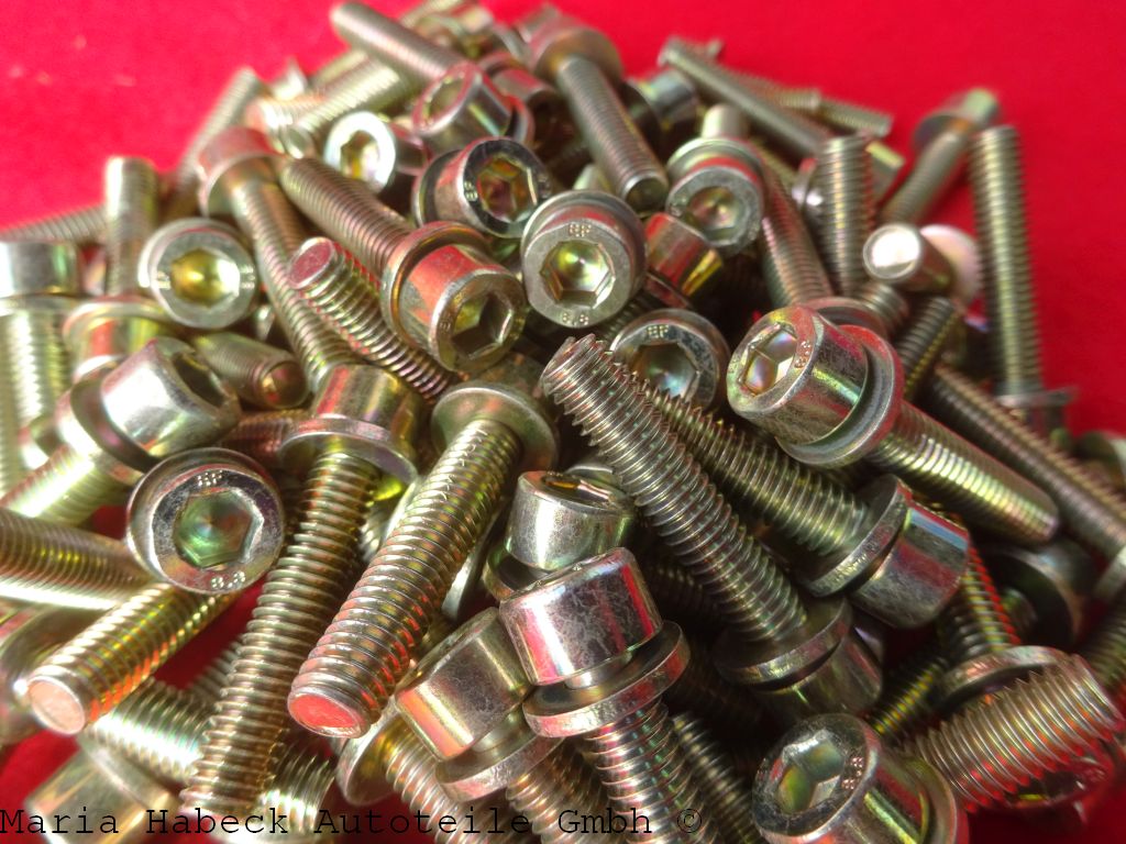 Schek combination screws SET 100 pcs valve cover Porsche 993 M6X30   90006723802 Schek combination screws SET 100 pcs valve cover Porsche 993 M6X30   90006723802