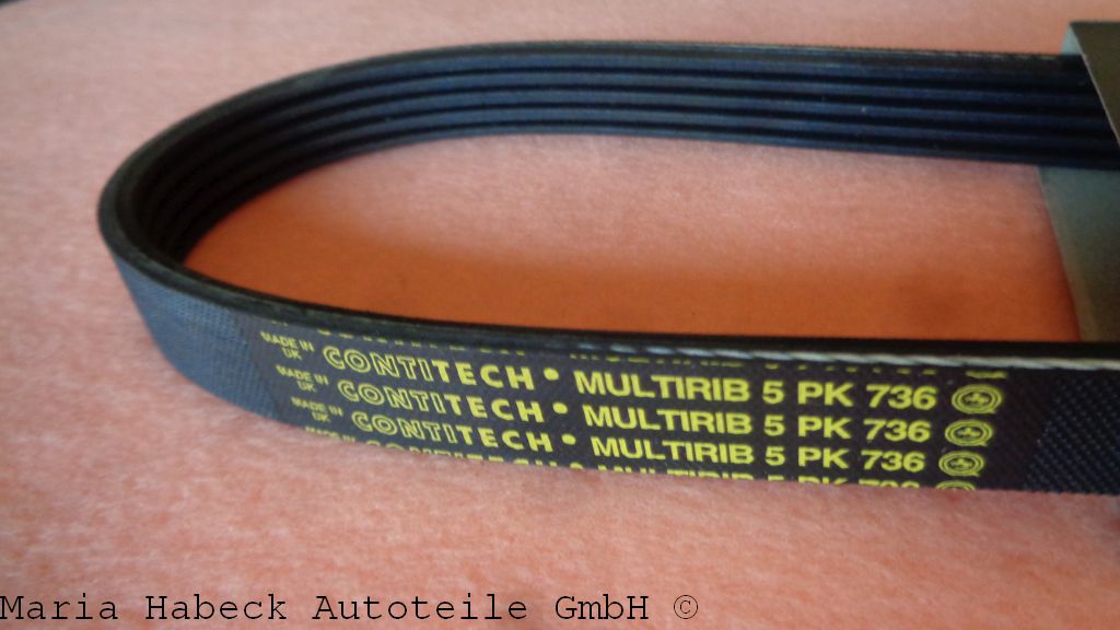 Conti Keilrippenriemen 944 Bj. 81-84 für Lima  5 PK 736