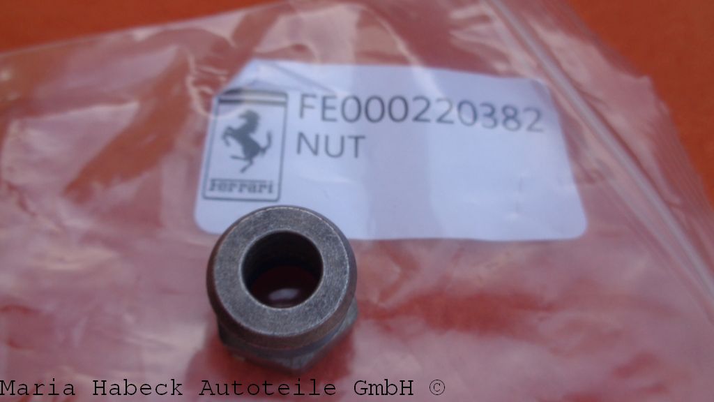 Ferrari Aufhängung Mutter für Ferrari 458, 599  220382