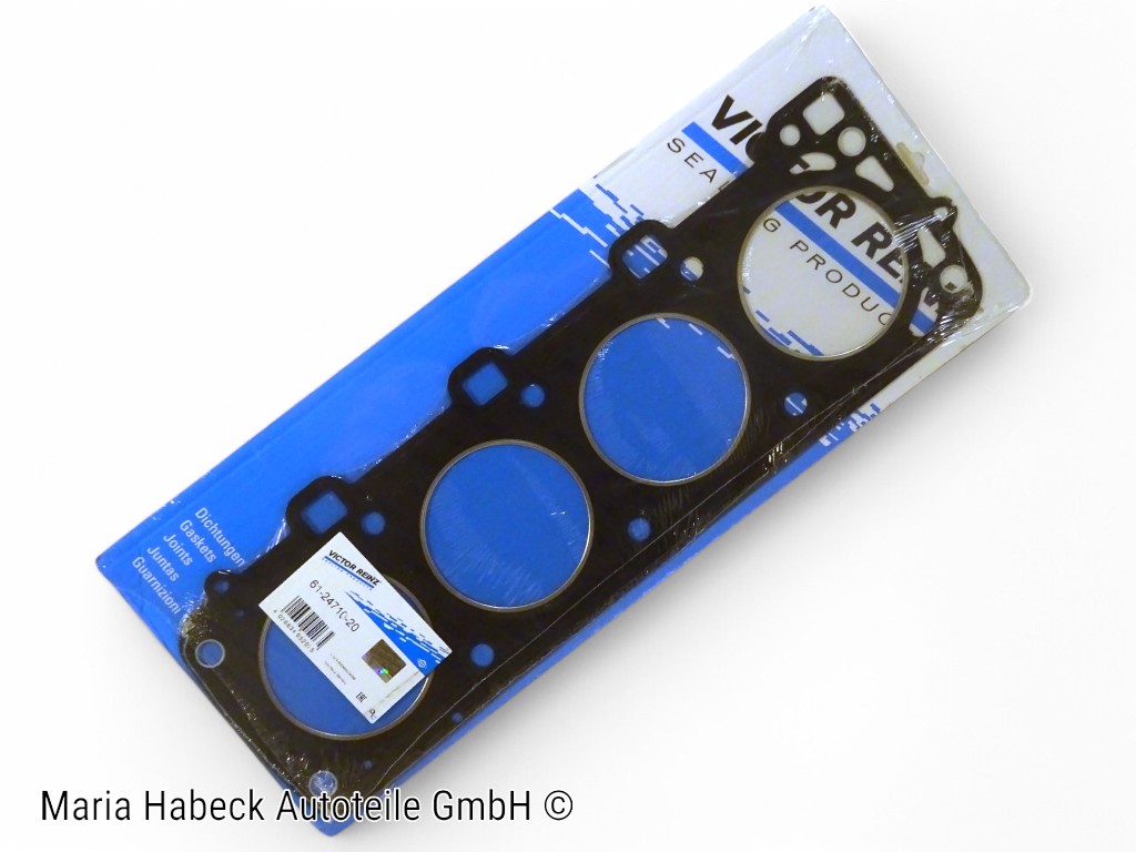 reinz 61-24710-20.jpg