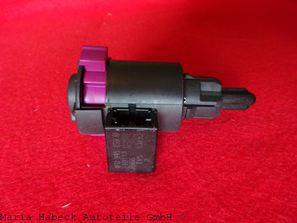 Lamborghimi  4F0945459B (3).JPG