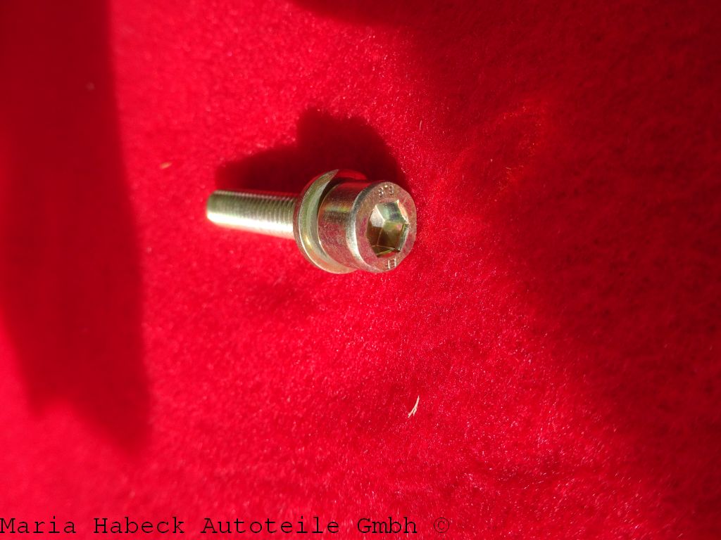 Schek Kombischraube für Ventildeckel  Porsche 993 M6X30    90006723802