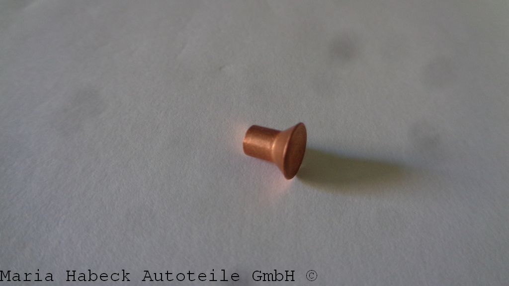 Frame connector rivets Targa   900 056 003 20 Frame connector rivets Targa   900 056 003 20