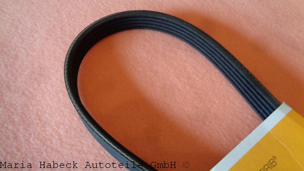 Conti V-ribbed belt  944  5 PK 1005