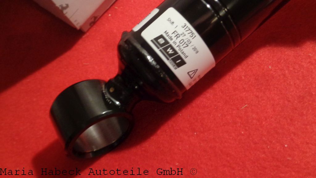 Ferrari Stoßdämpfer Hinterachse 317751für Ferrari 488 GTB / 488 Spider