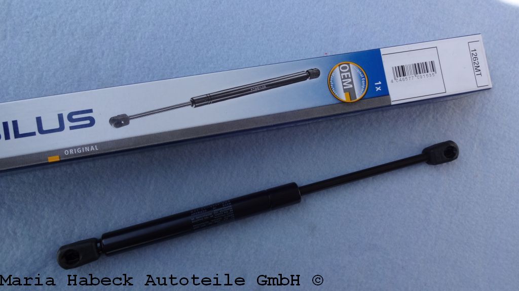 1262MT.JPG 1262MT.JPG