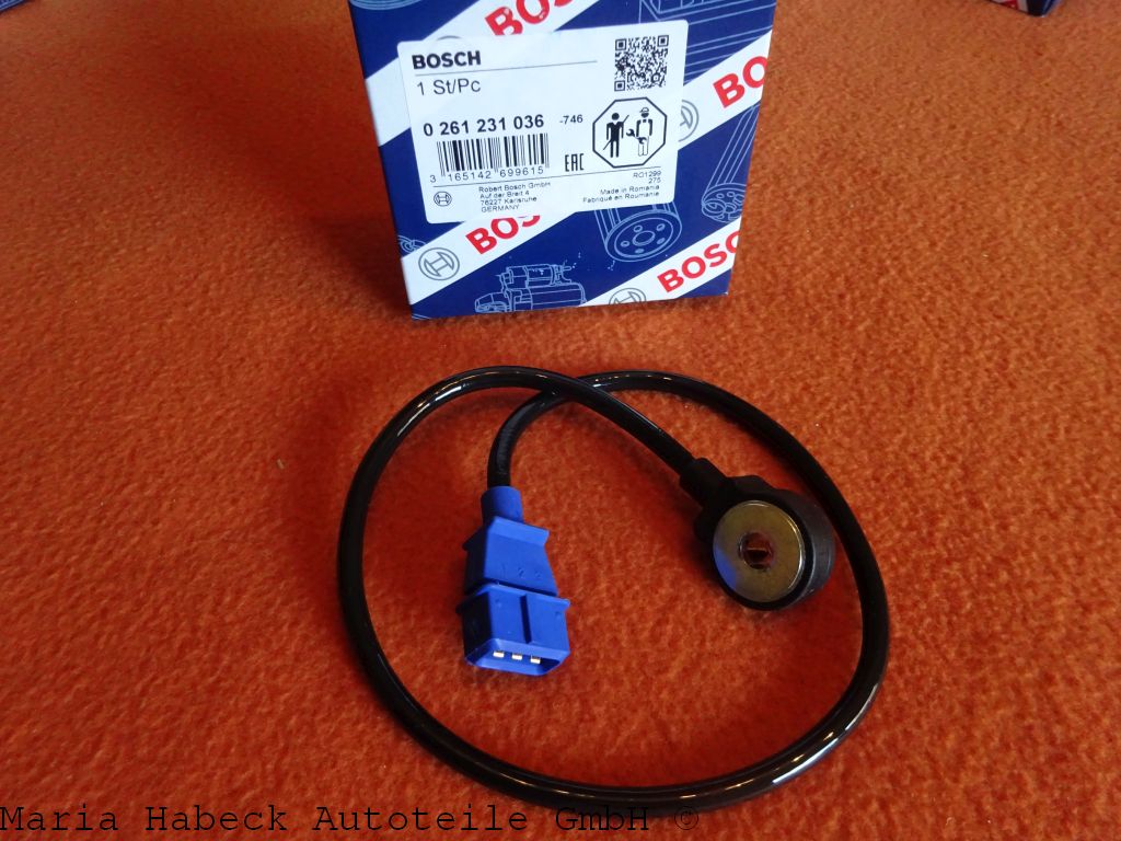 0 261 231 036.JPG 0 261 231 036.JPG