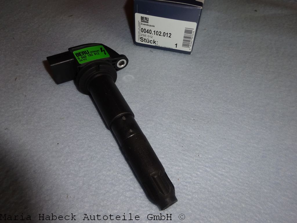 Zündspule / Zündkerzenstecker für Porsche GT Bj. 04-06  ZSE 012  94860210400