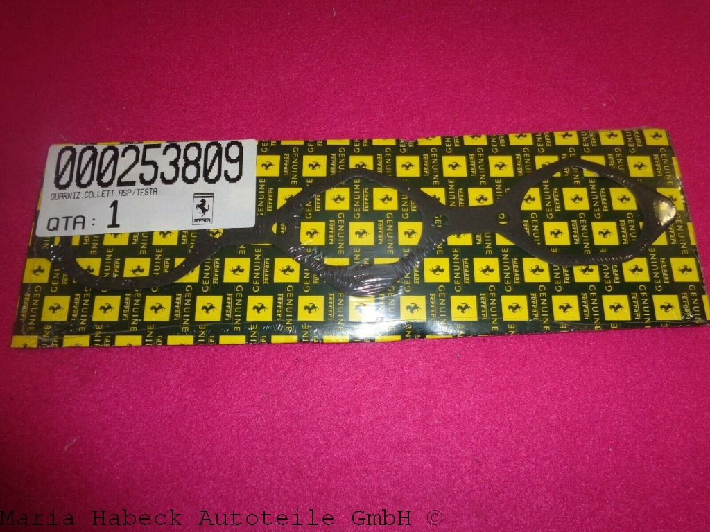 000253809.jpg
