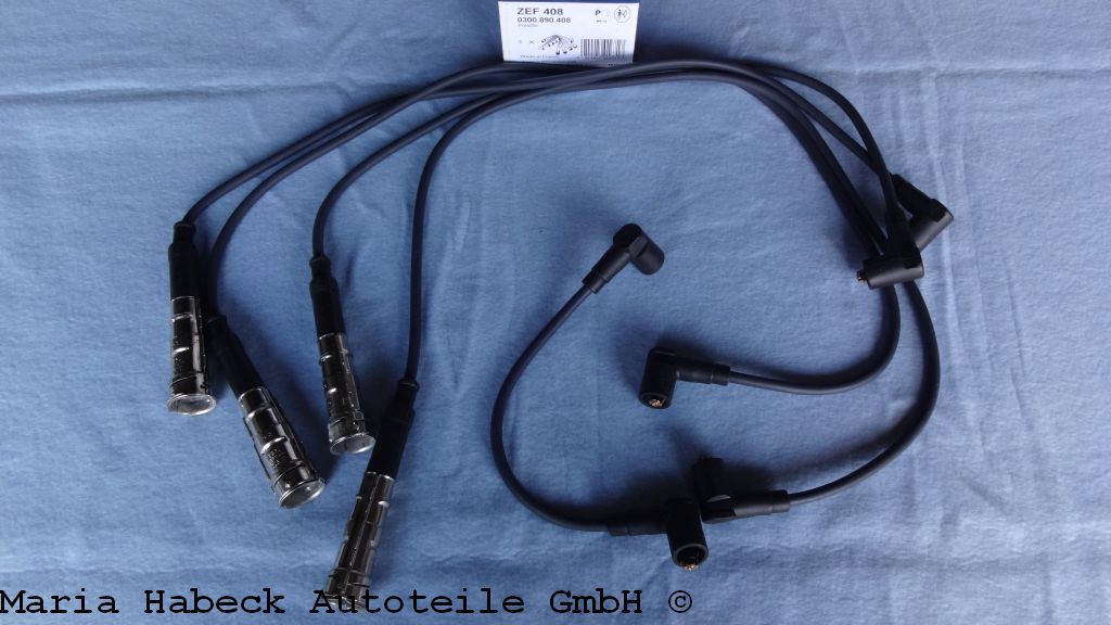 ZEF 408.JPG ZEF 408.JPG