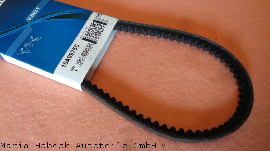 Dayco Keilriemen 10 x 975 mm