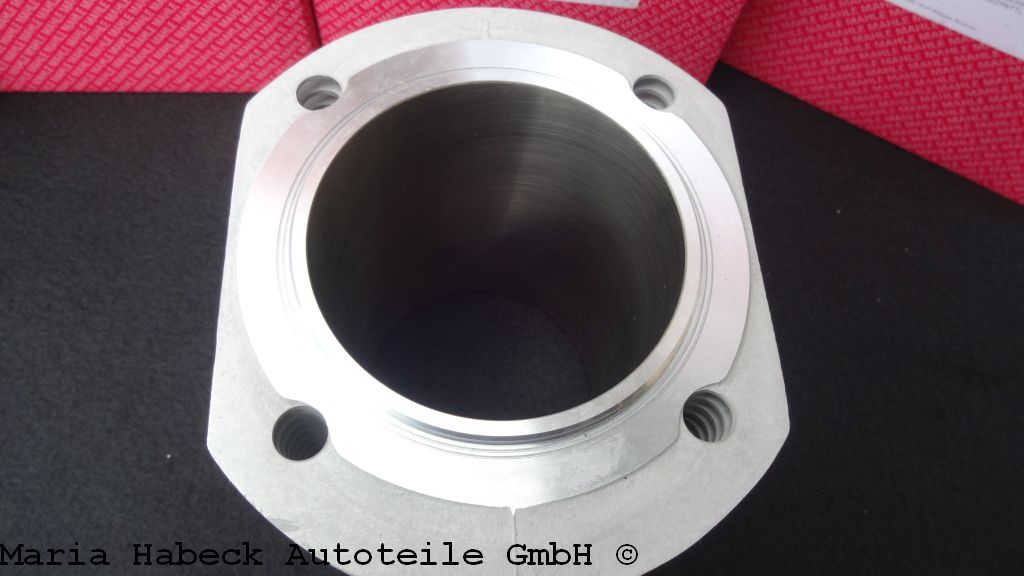 Mahle Cylinder 2.0 Nikasil 503 WR 18