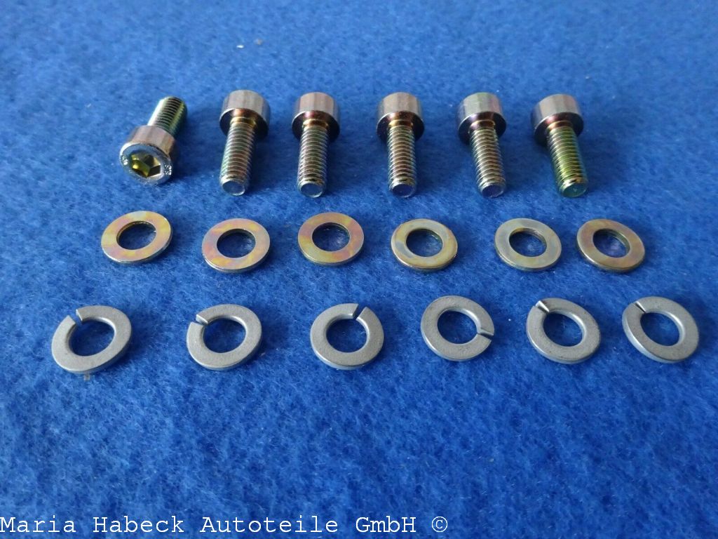 Schek Schrauben Set für Stoßstangenhörner 6X18 incl Federring und Scheibe