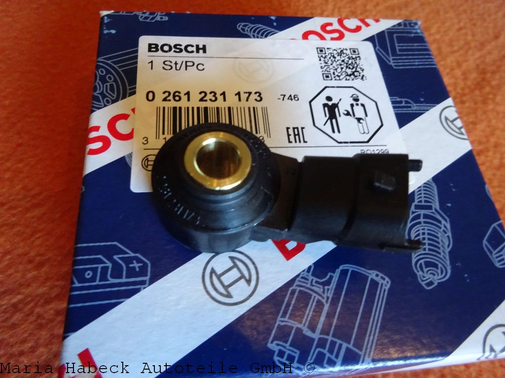 0 261 231 173.JPG