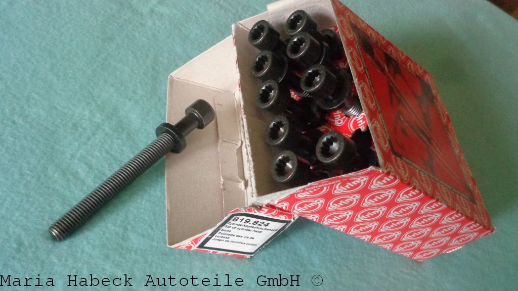 Elring Cylinder head screw set 924    819.824