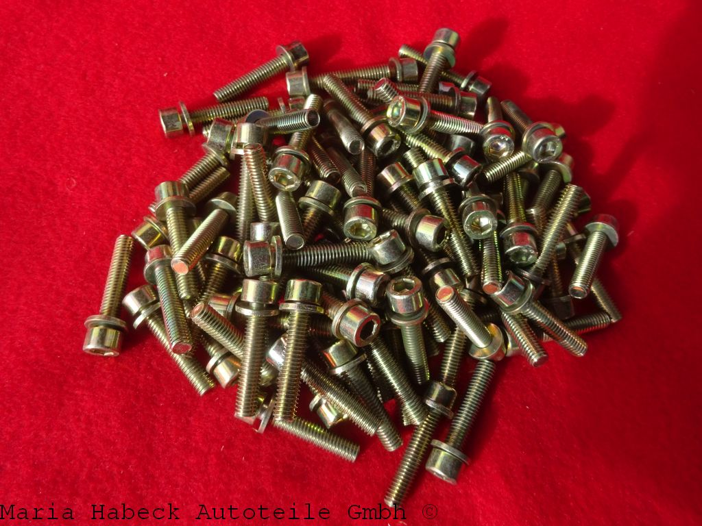 Schek combination screws SET 100 pcs valve cover Porsche 993 M6X30   90006723802 Schek combination screws SET 100 pcs valve cover Porsche 993 M6X30   90006723802