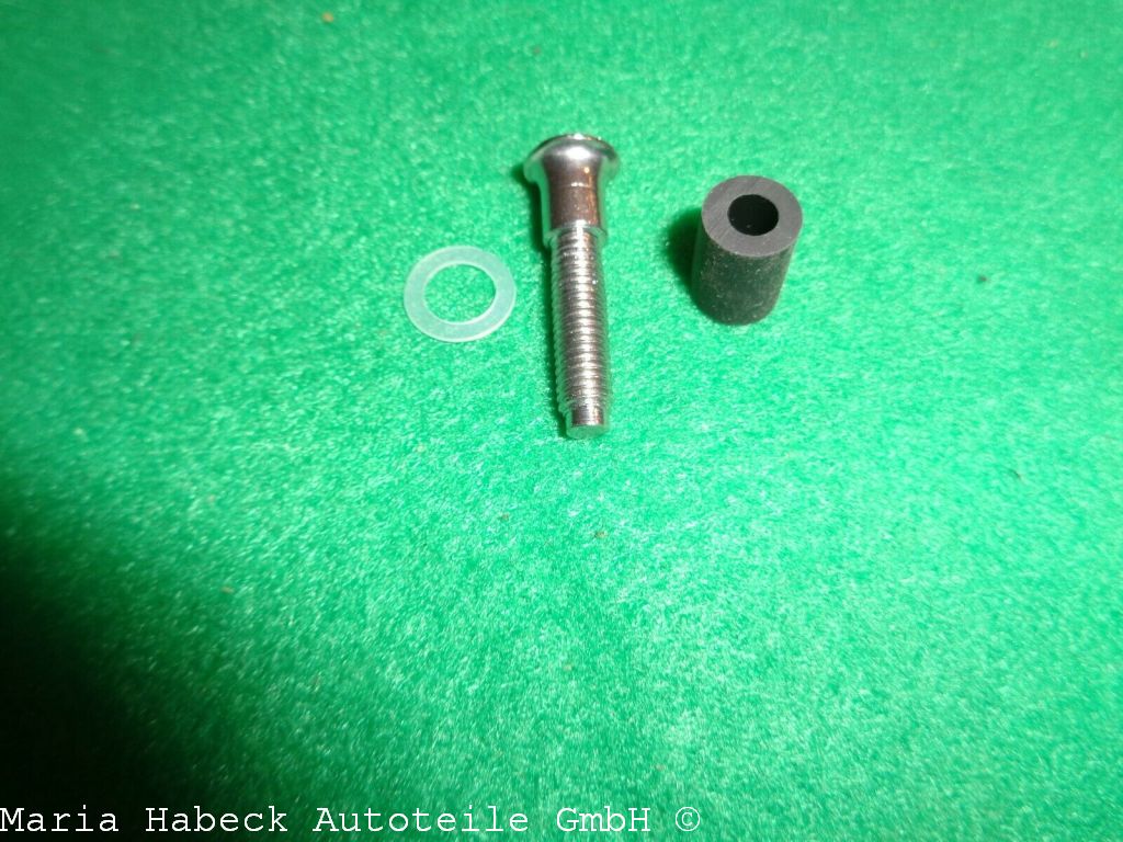 Euri headlight mounting screw for stainless steel headlights