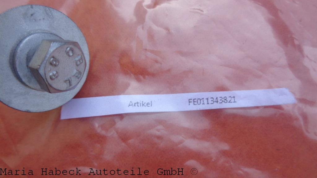 Alternator Screw  for Ferrari and Maserati 11343821