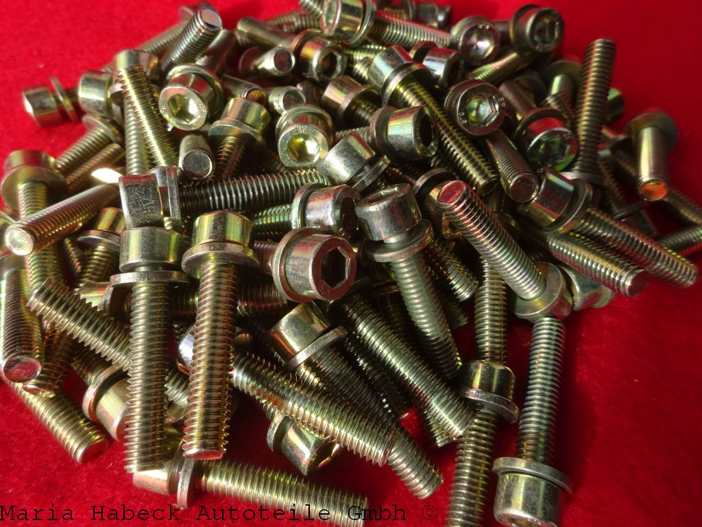 Schek combination screws SET 100 pcs valve cover Porsche 993 M6X30   90006723802 Schek combination screws SET 100 pcs valve cover Porsche 993 M6X30   90006723802