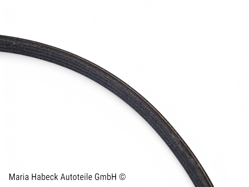 Keilrippenriemen für Generator für Ferrari 512 TR 199820