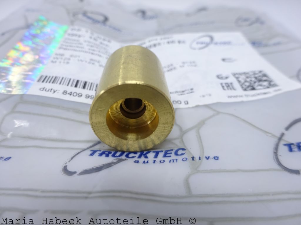 Trucktec  Düse Vergaser Mercedes Benz W 123,124   02.13.025   0000700887