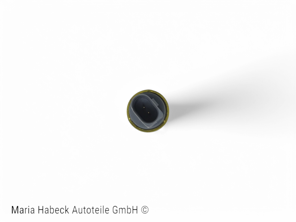 HT Temperature sensor Porsche 987 Cayman 99760641000